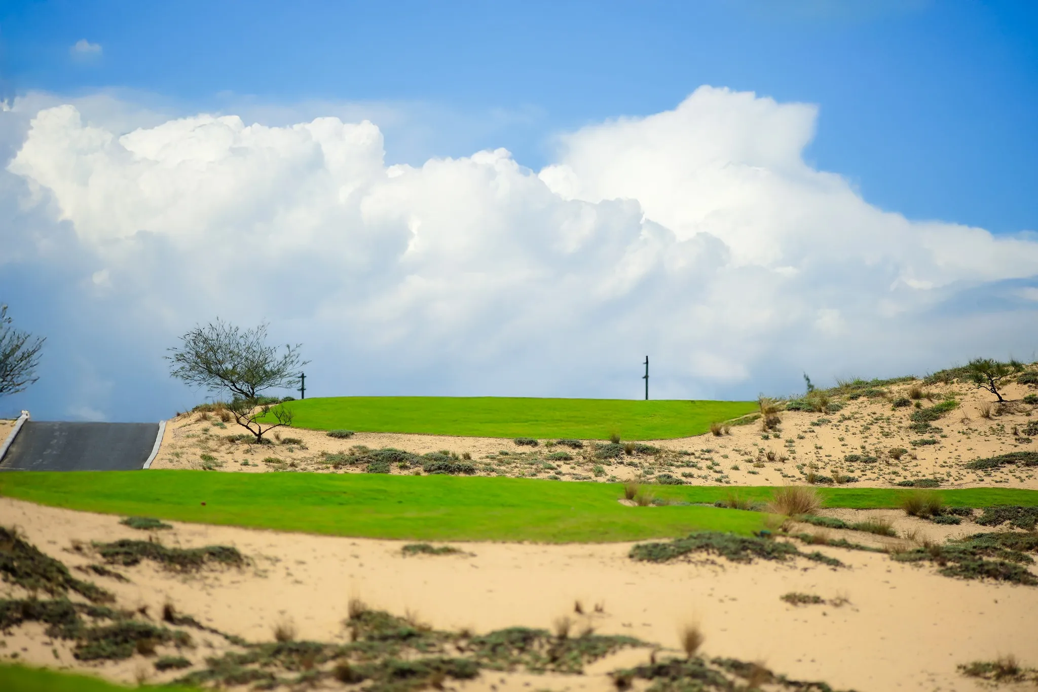 Blue Diamond Golf Links