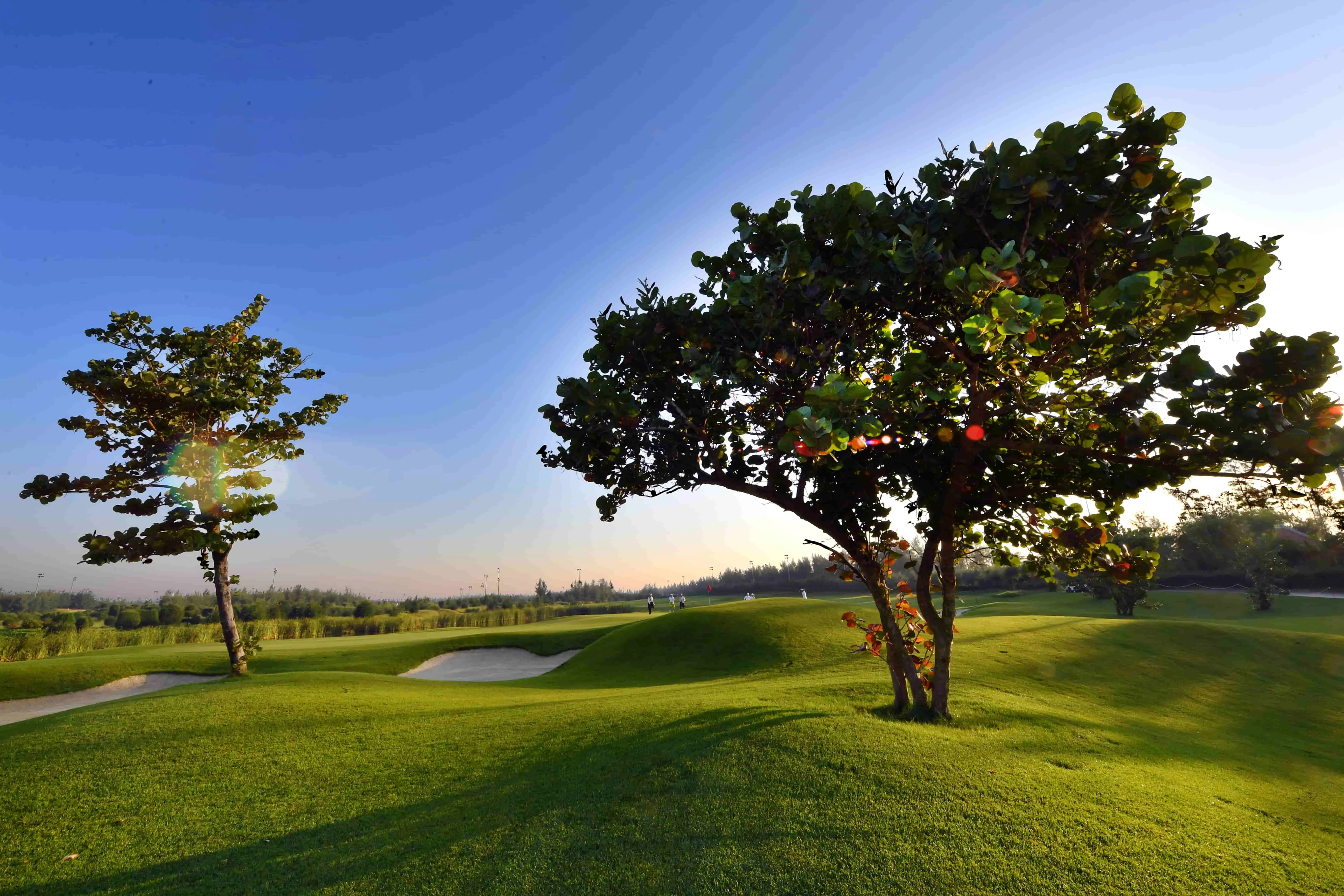 FLC Sầm Sơn Golf Links