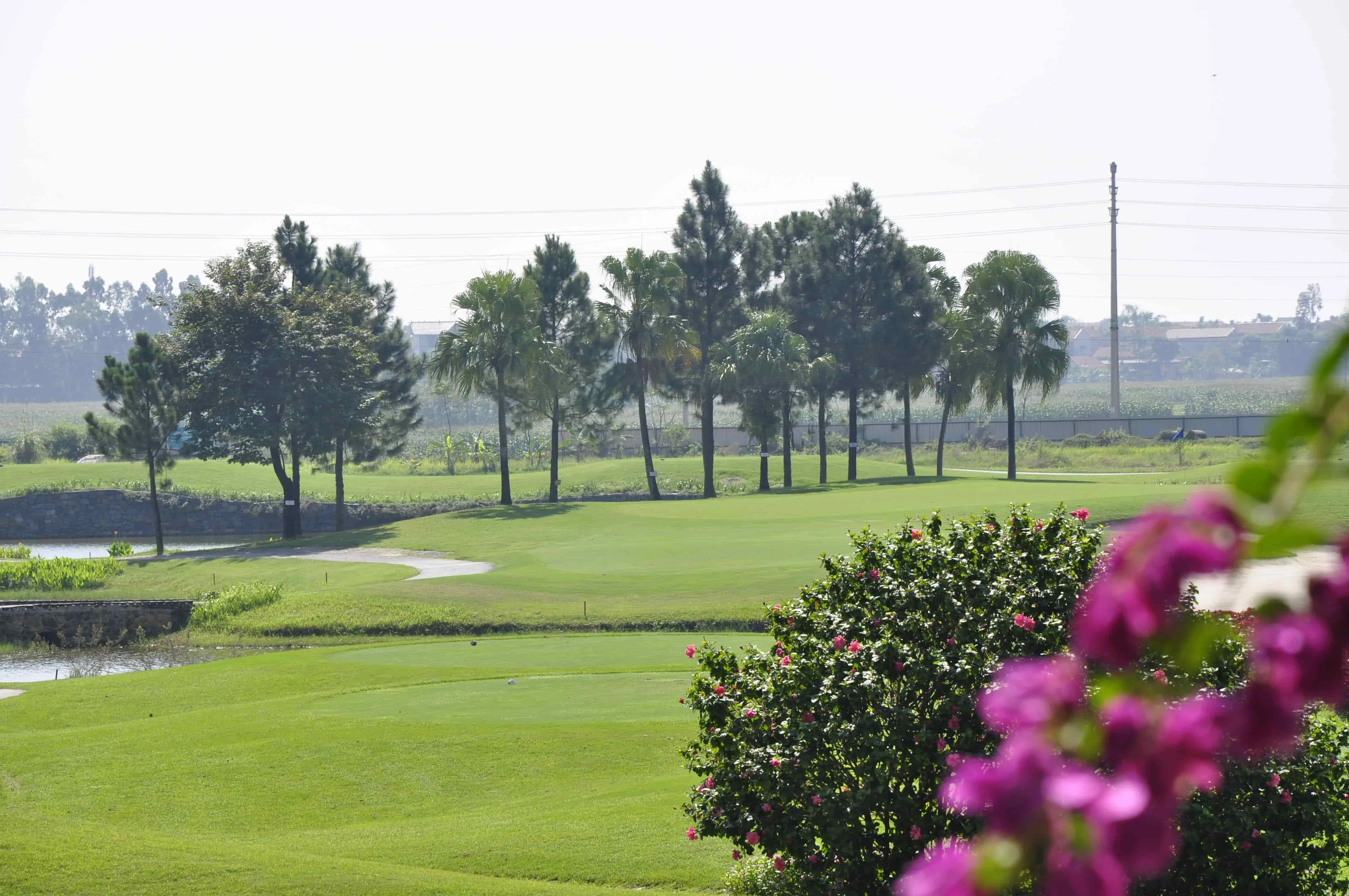 苍鹭湖高尔夫球场及度假村