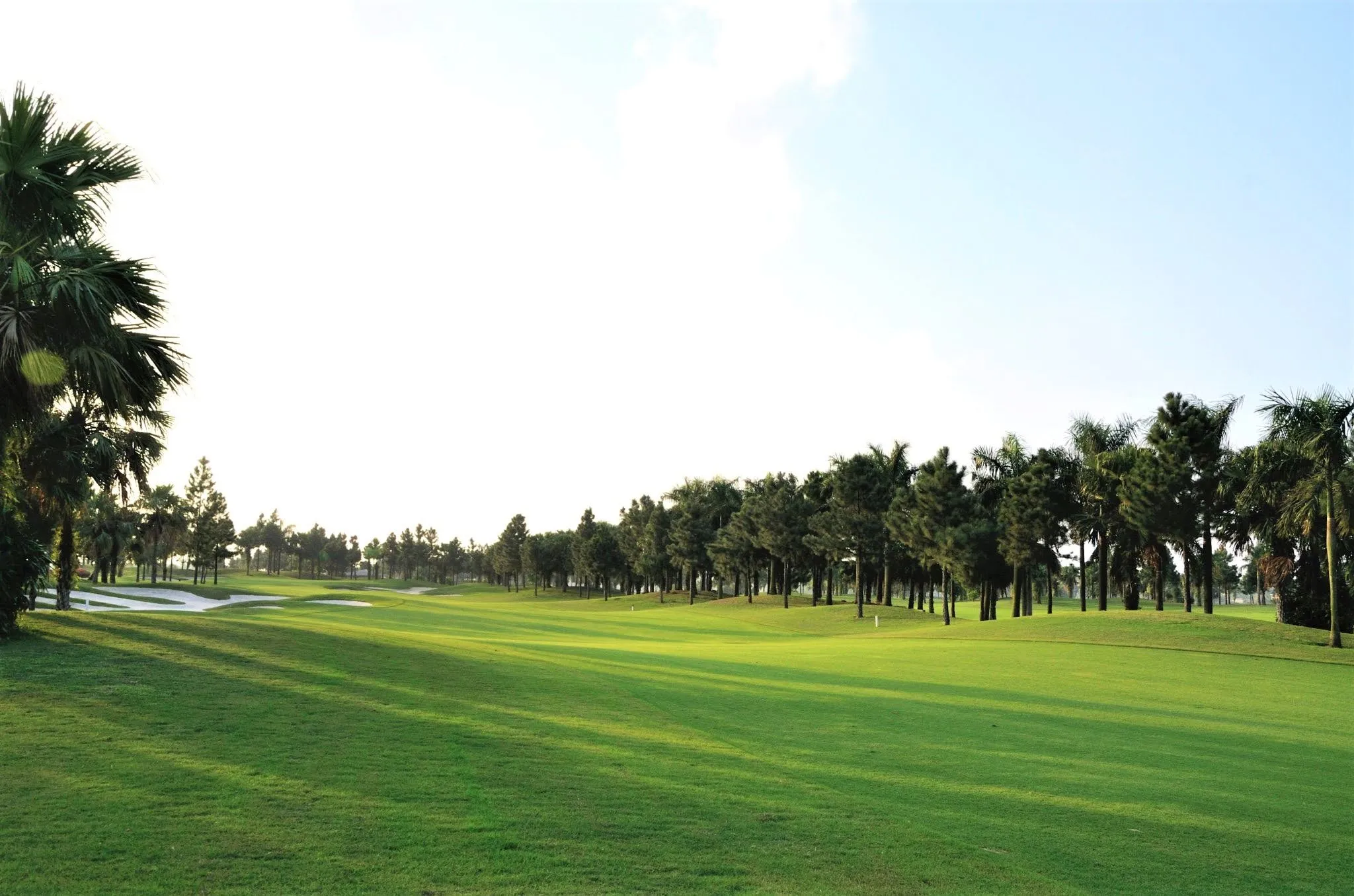 苍鹭湖高尔夫球场及度假村