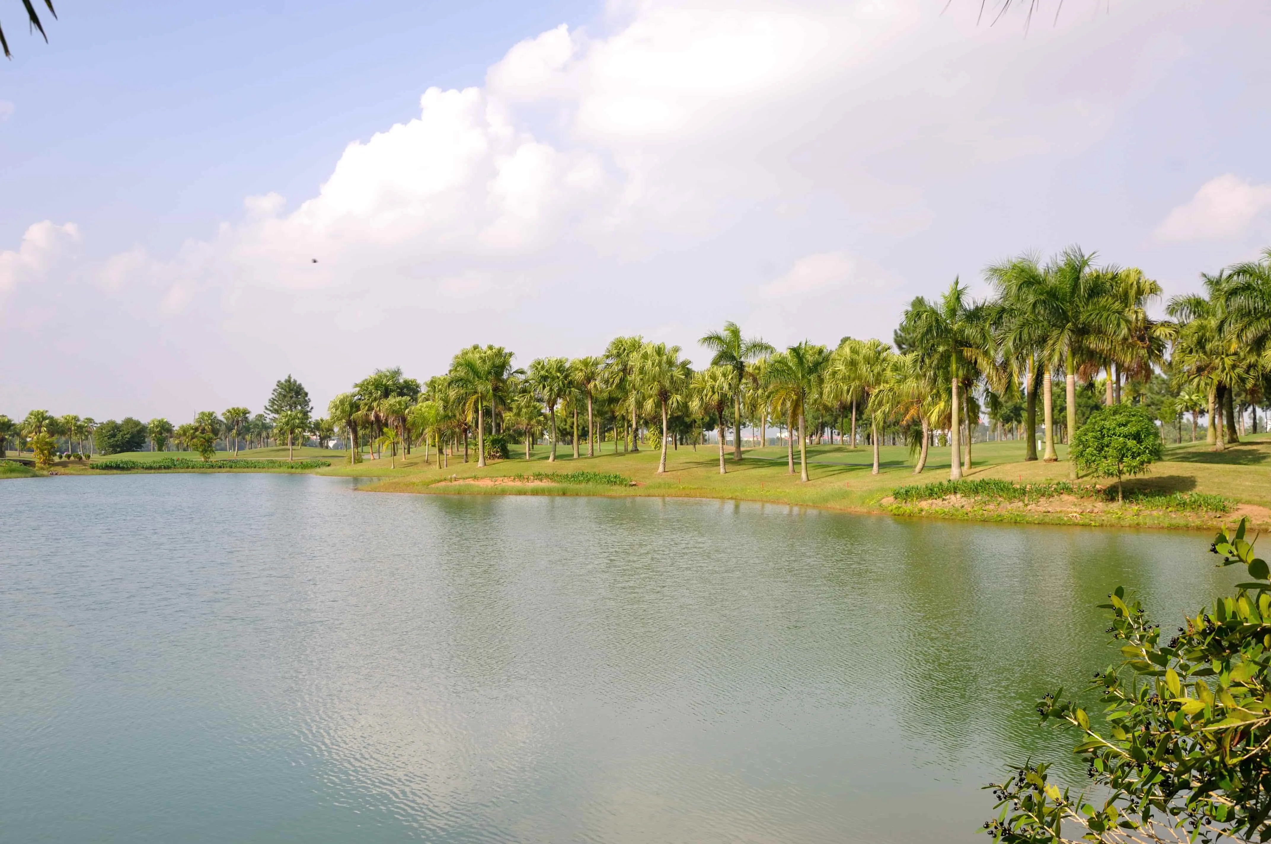 苍鹭湖高尔夫球场及度假村