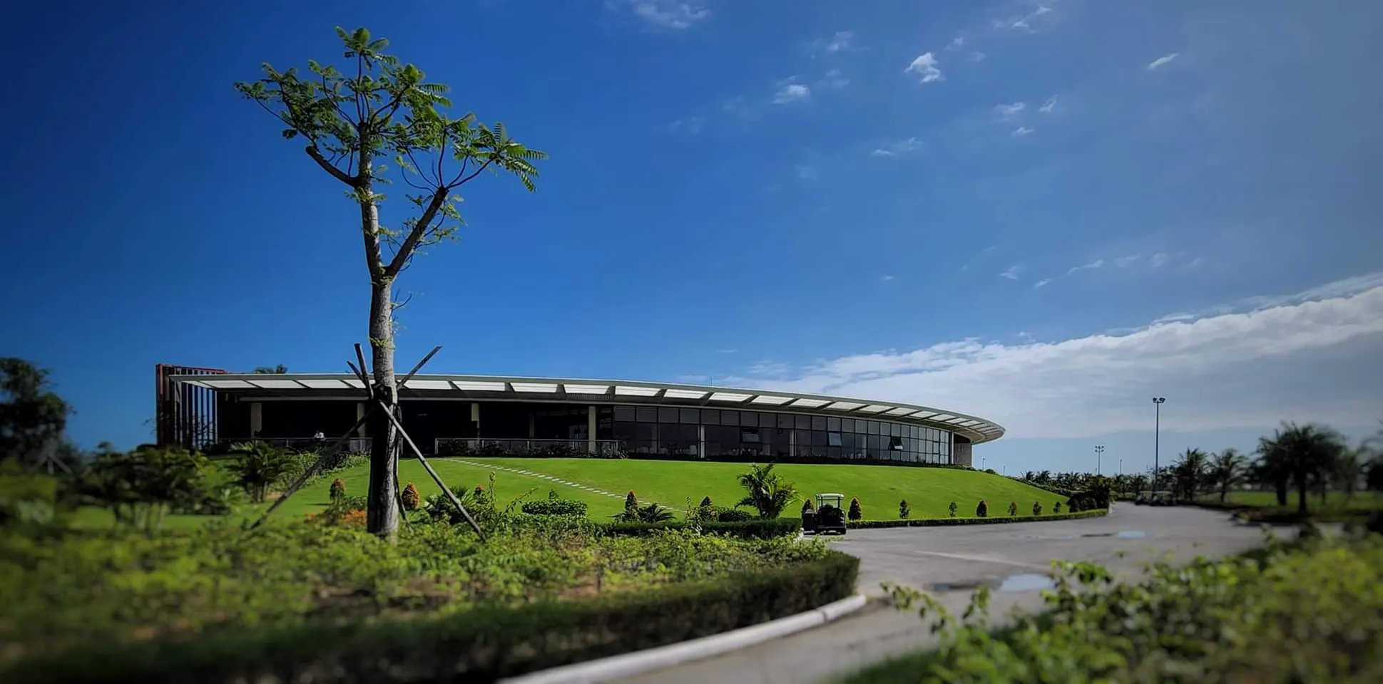 芒青春成高尔夫俱乐部