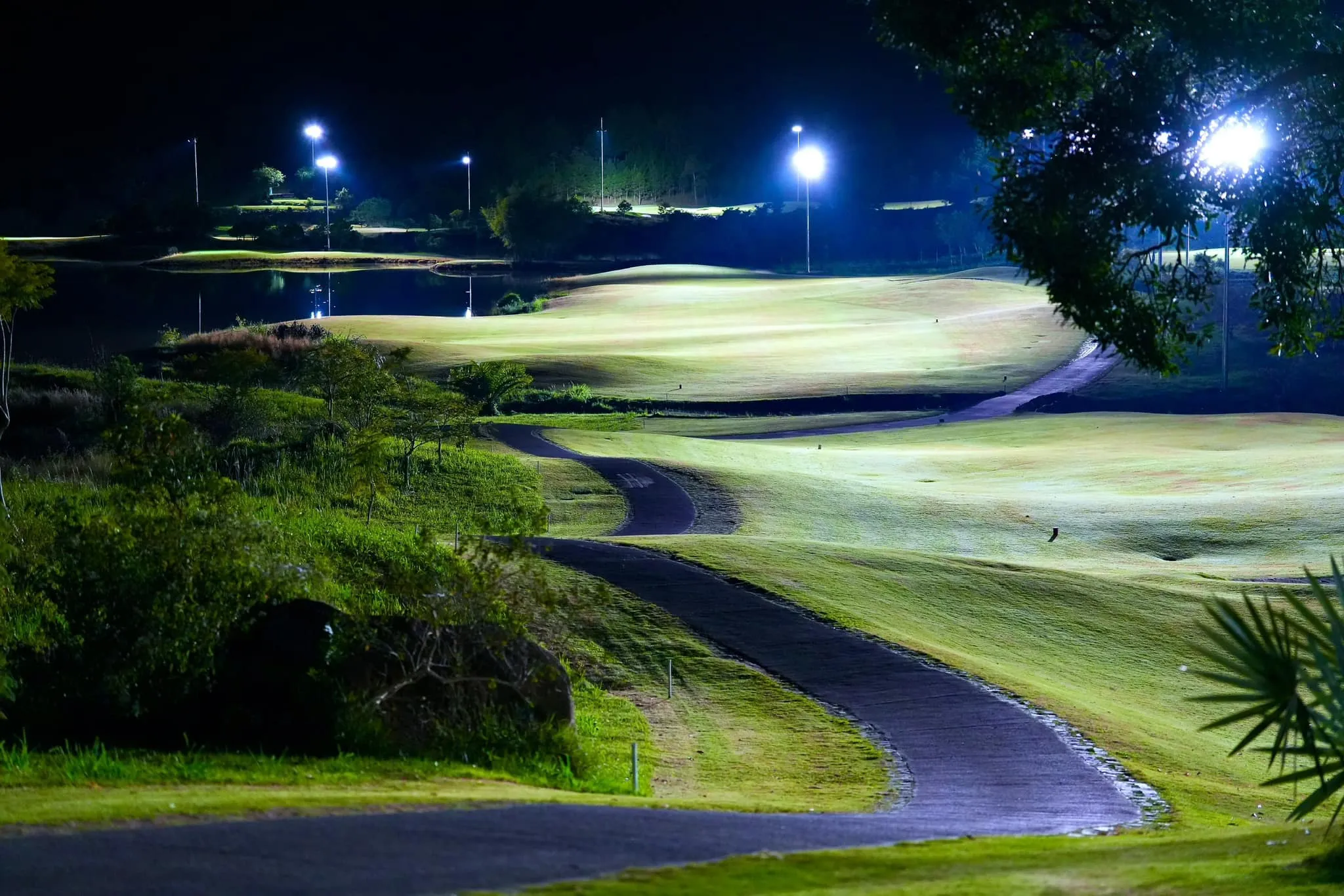 The Dalat at 1200 Country Club