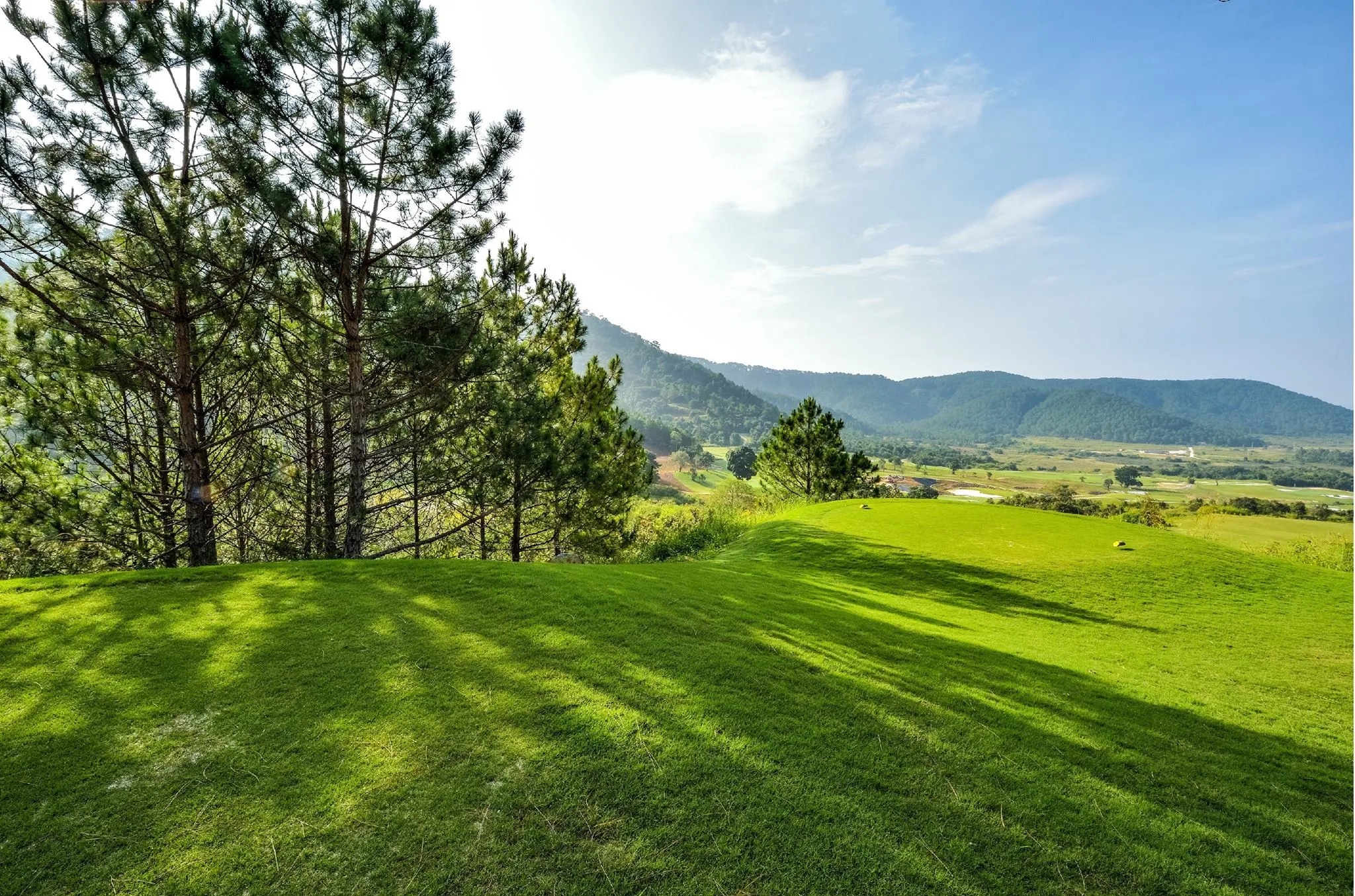 The Dalat at 1200 Country Club